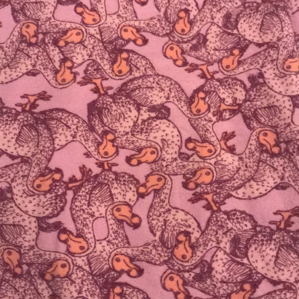 LuLaRoe Dodo Leggings OS